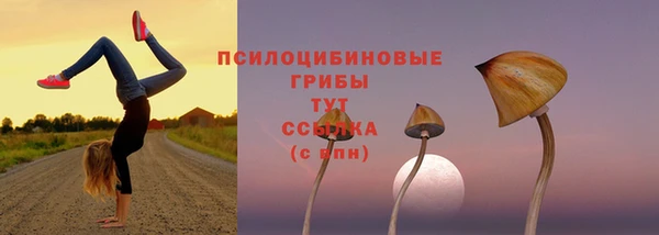 ALPHA-PVP Зеленодольск