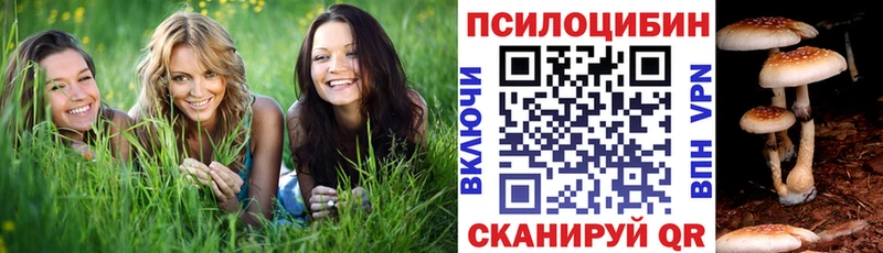 Псилоцибиновые грибы Magic Shrooms Кисловодск