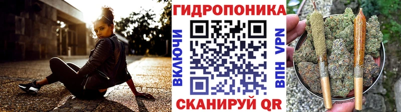Бошки марихуана марихуана  наркота  Кисловодск 